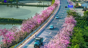 广西蒙山蒙山镇北楼村