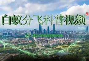 微视：白蚁分飞科普视频